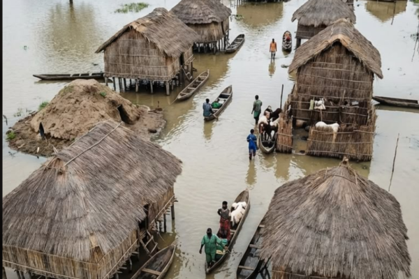 Excursion Pirogue — Village Pygmée Bagyeli